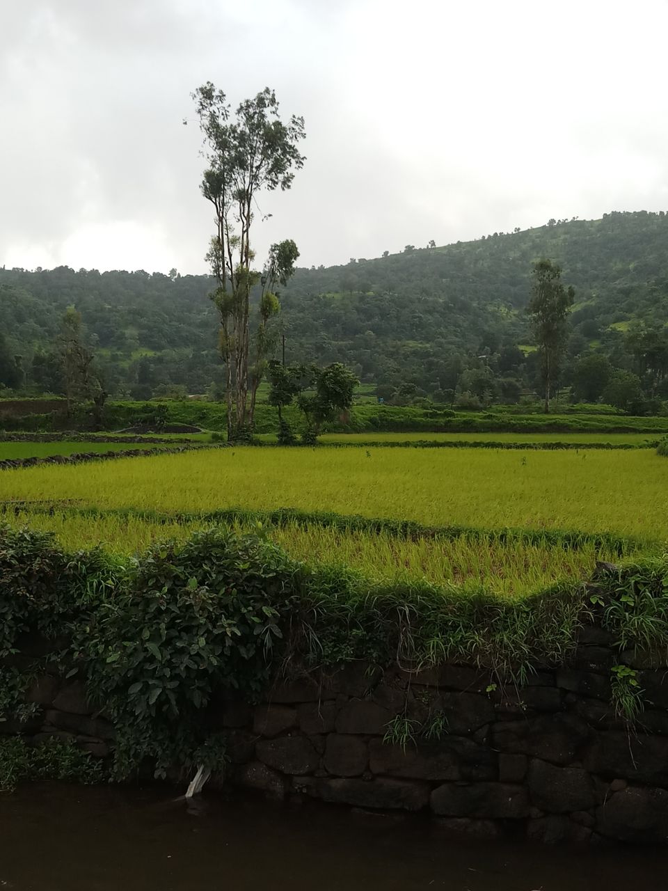 Photo of kalsubai Treking And Camping, Bari, Maharashtra, India by Juhi Issar