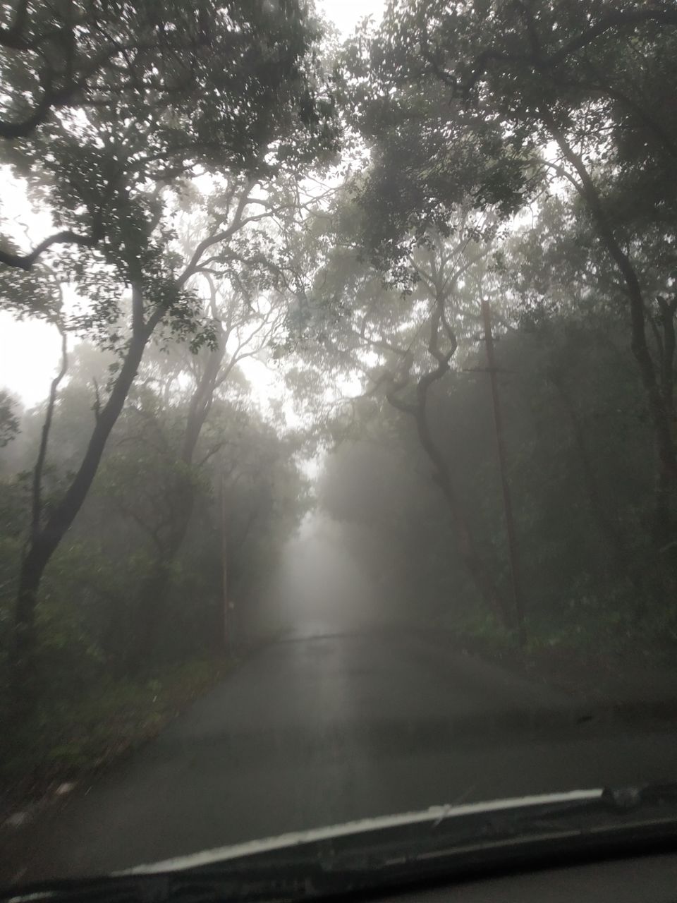 Photo of Mahabaleshwar, Maharashtra, India by Juhi Issar