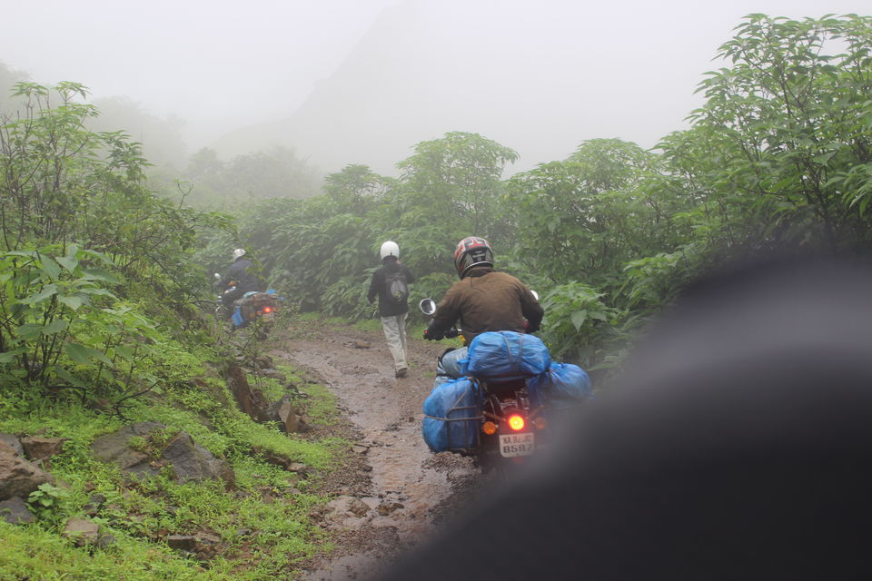 Photo of Koyna Wildlife Sanctuary, Koyna, Maharashtra, India by Arjun