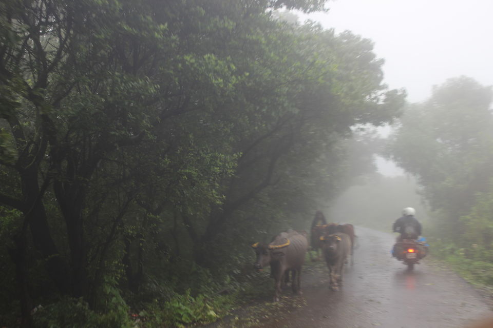 Photo of Story Along NH - 48 by Arjun