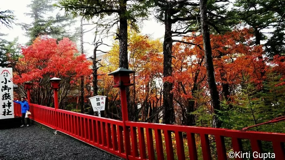 Photo of Mt. Fuji Subaru Line 5th Station, 8545-1 字富士山 Narusawa, Yamanashi Prefecture, Japan by Kirti Gupta