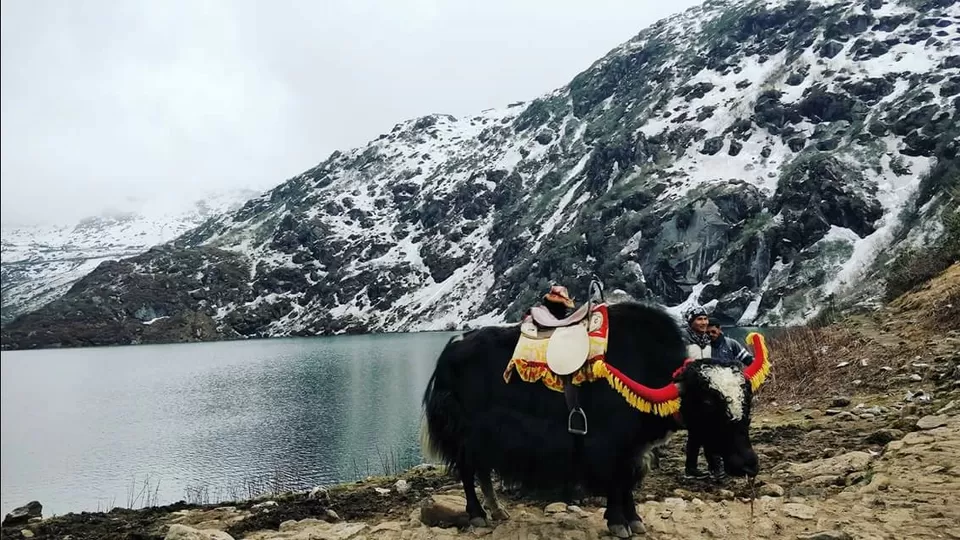 Photo of Gurudongmar Lake, Sikkim by Kirti Gupta