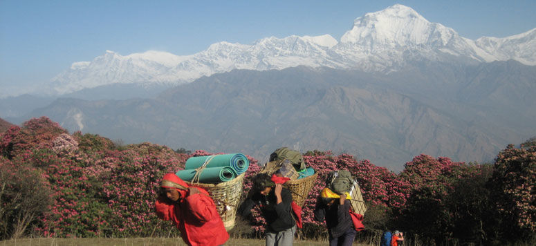 Photo of ABC Trip with Ghorepani Poon Hill 1/7 by Nepal Mother House Treks
