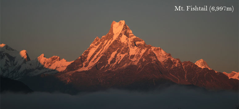 Photo of ABC Trip with Ghorepani Poon Hill 5/7 by Nepal Mother House Treks