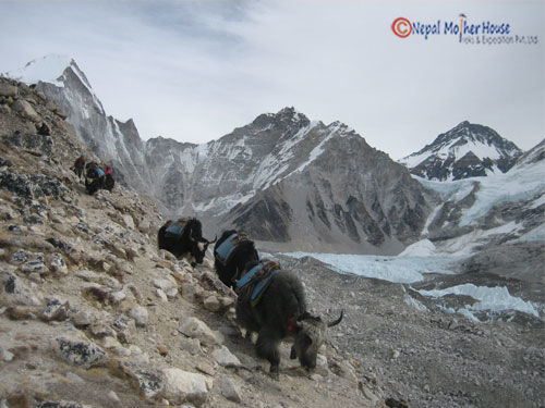 Photo of 13 Days Mount Everest Base Camp Trek 5/9 by Nepal Mother House Treks