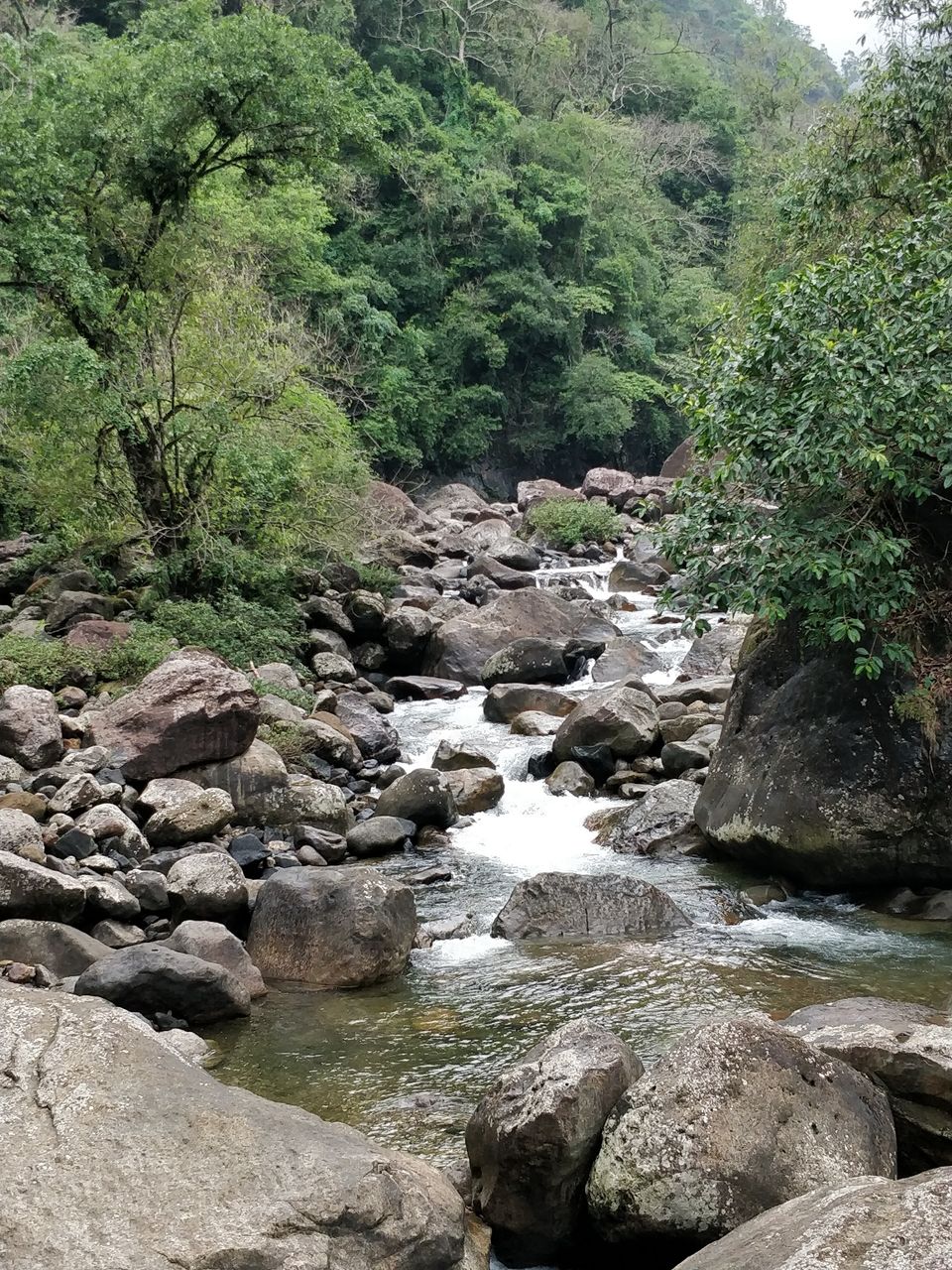 Photo of NorthEast diaries by Prajvith Bhandary