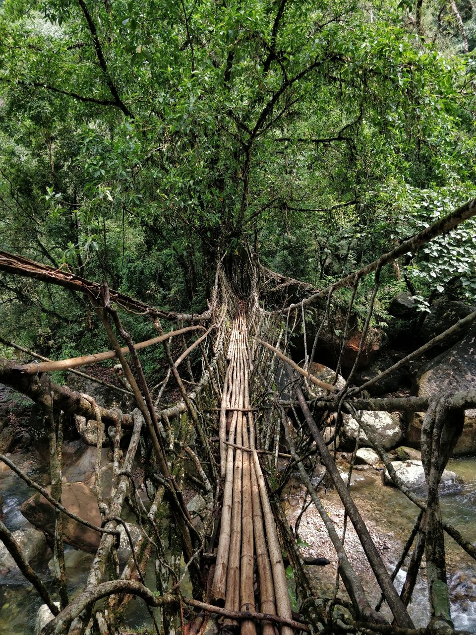 Photo of NorthEast diaries by Prajvith Bhandary
