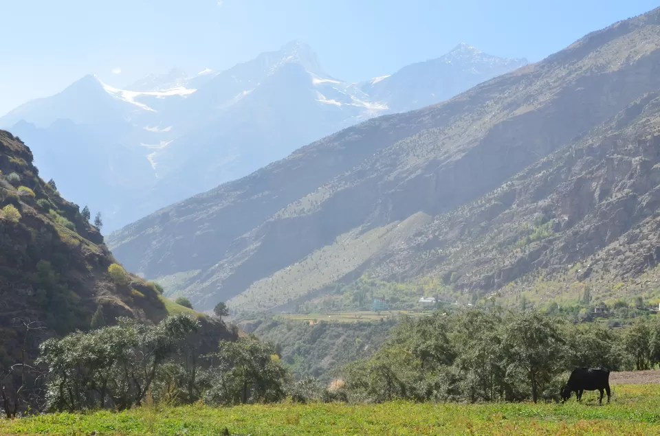 Photo of Keylong, Himachal Pradesh, India by Anali Baruah