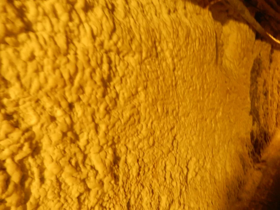 Photo of Wieliczka Salt Mine, Wieliczka, Poland by letsflipflop