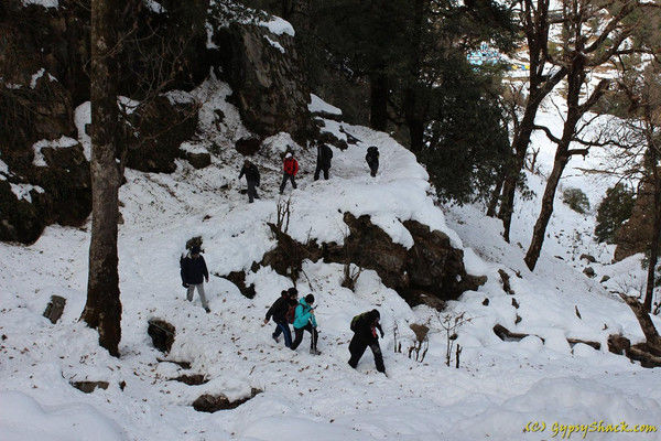 Photo of Chopta, Uttarakhand, India by Ashish