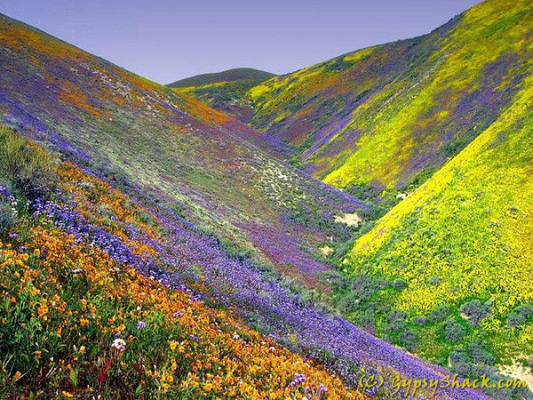 Photo of 5 Himalayan Treks for Beginners by Ashish
