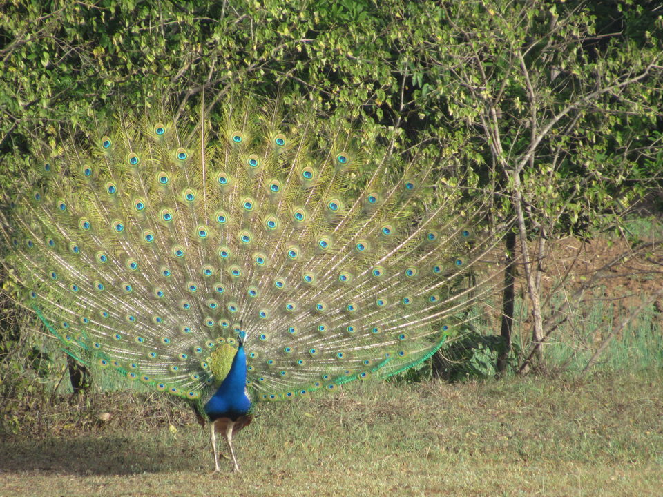 Photo of What an overnight trip of spending Rs 500 gave me 2/10 by Deepti Khera