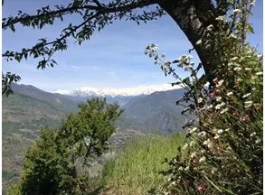 Photo of Ukhimath, Uttarakhand, India by Srijita Kundu