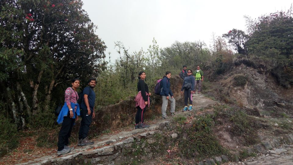 Photo of Sandakphu - Phalut trekking story 7/11 by Srijita Kundu