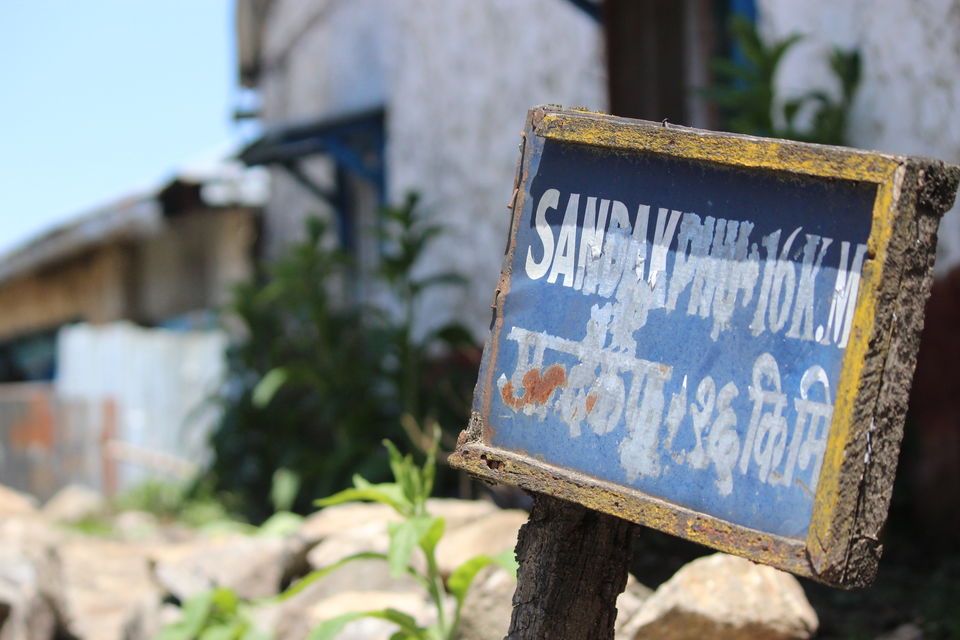 Photo of Sandakphu - Phalut trekking story 3/11 by Srijita Kundu