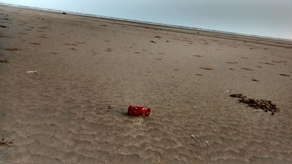 Photo of Tajpur Beach Destination - A weekend trip in West Bengal 1/7 by Srijita Kundu