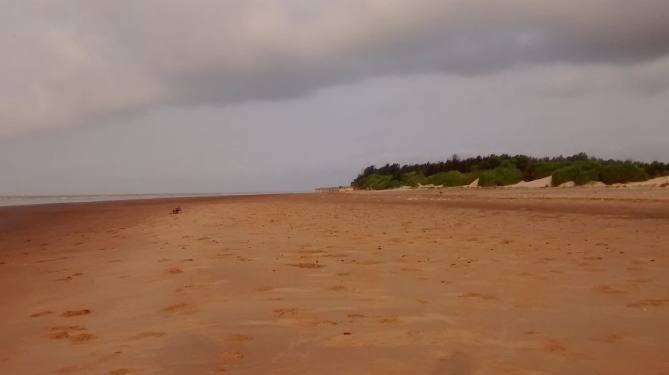 Photo of Tajpur Beach Destination - A weekend trip in West Bengal 7/7 by Srijita Kundu