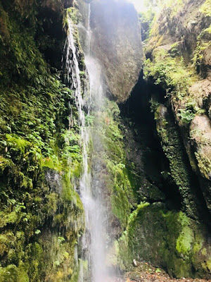 Photo of Wandering into the Tirthan Valley! 1/1 by Hardik Khandelwal