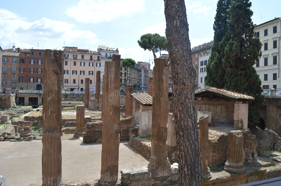 Photo of Palatine Museum - Roman Forum, Via di San Gregorio, Rome, Metropolitan City of Rome, Italy by Hardik Khandelwal
