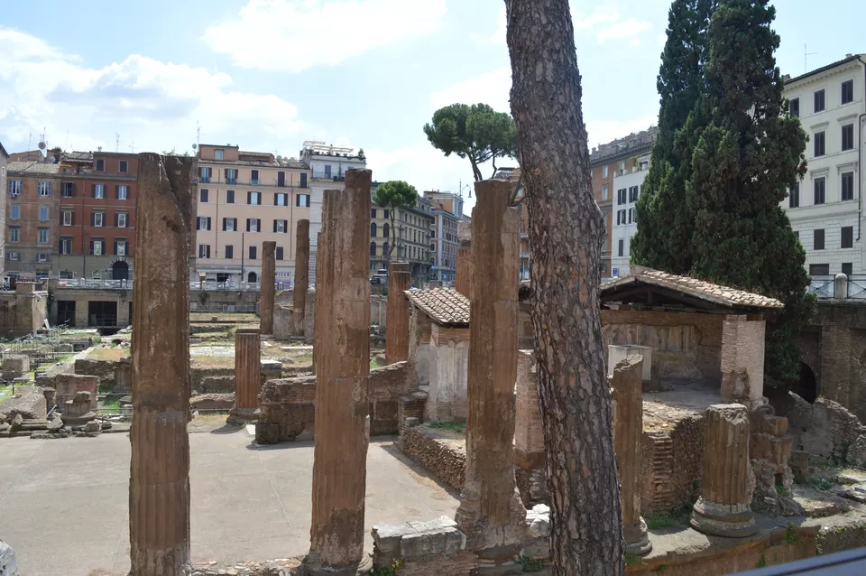 Photo of Palatine Museum - Roman Forum, Via di San Gregorio, Rome, Metropolitan City of Rome, Italy by Hardik Khandelwal