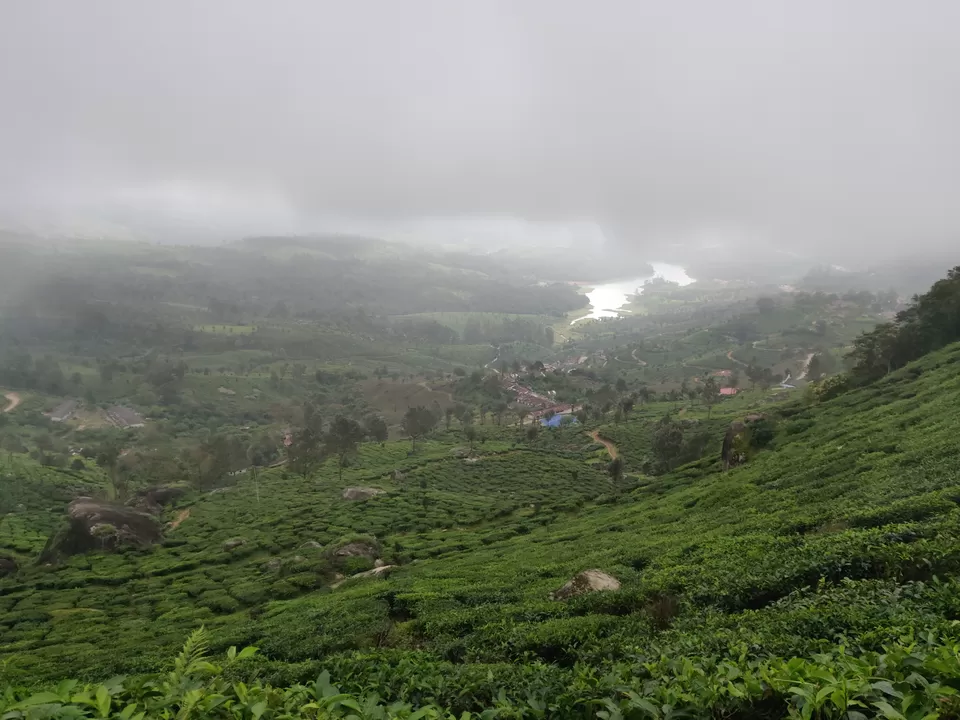 Photo of Trip To South India From Delhi by Naini Sachdeva