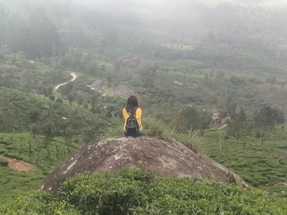 Photo of Trip To South India From Delhi by Naini Sachdeva