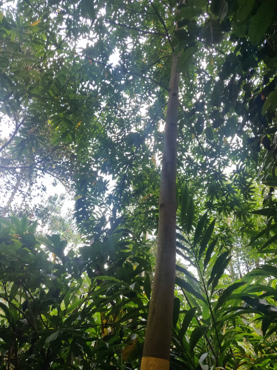 Photo of Trip To South India From Delhi by Naini Sachdeva