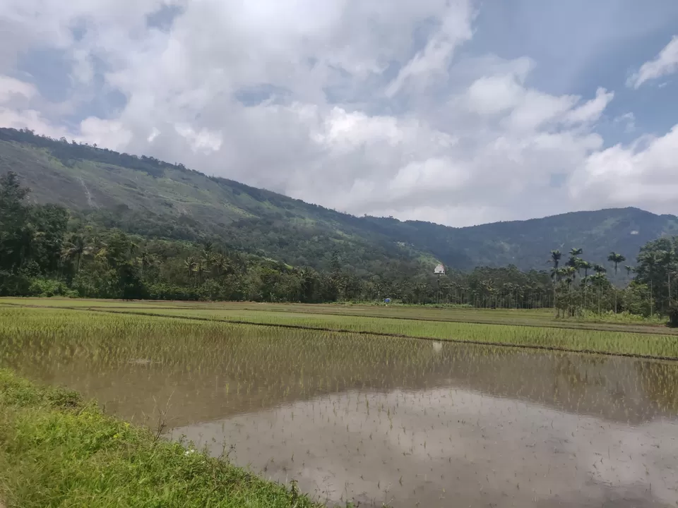 Photo of Trip To South India From Delhi by Naini Sachdeva