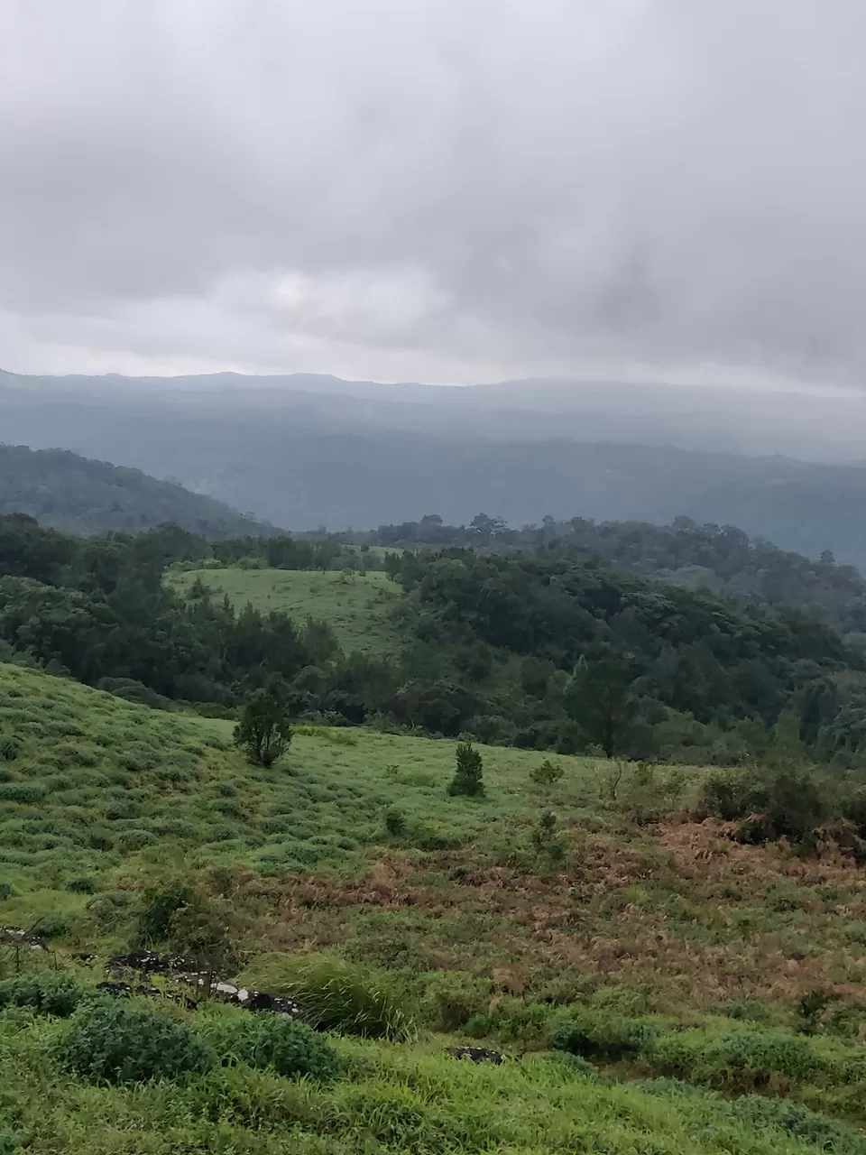 Photo of Trip To South India From Delhi by Naini Sachdeva