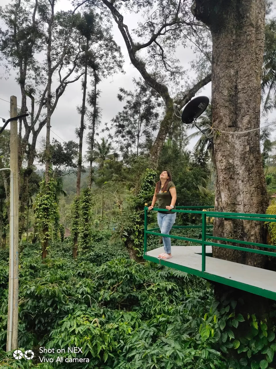 Photo of Trip To South India From Delhi by Naini Sachdeva