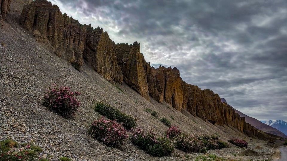 Photo of An Engineering completion trip to the Dreamland - Spiti Valley in #June. by Rushabh_Shah_25_28