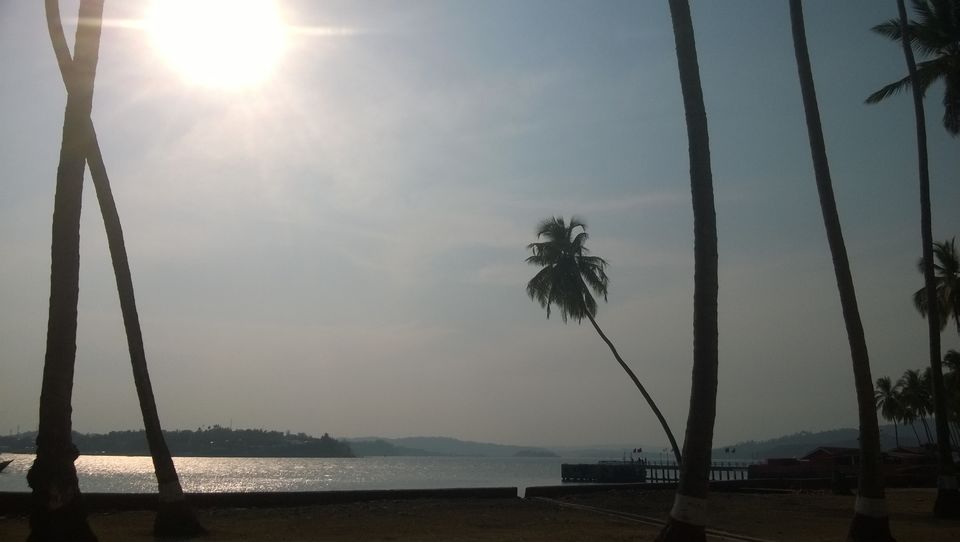 Photo of Andamans - The captivating and unforgettable !! 5/21 by Monika Sharma