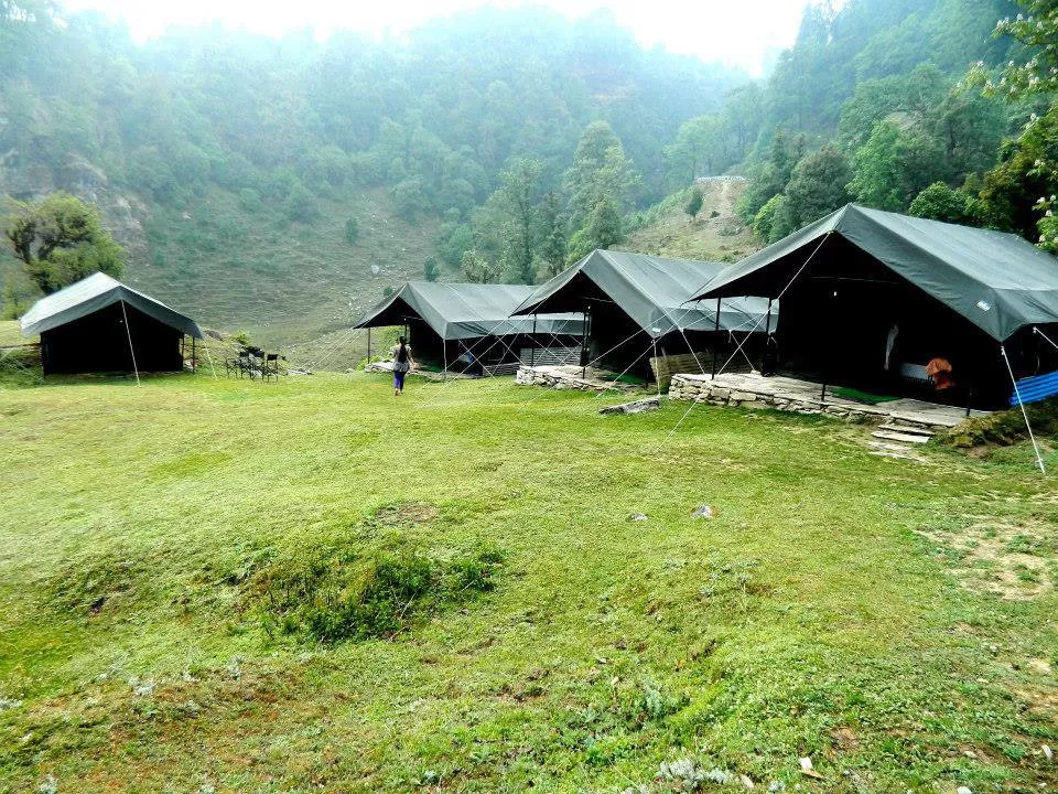 Photo of Chopta, Uttarakhand, India by Arvind Sharma