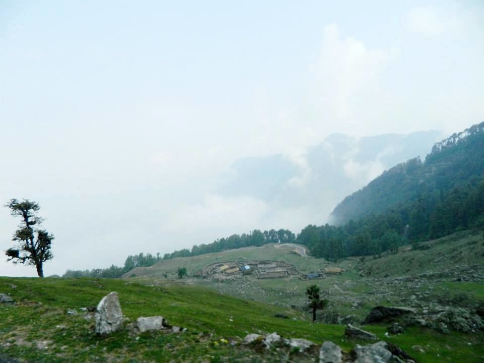 Photo of Chopta Is A Few Hours Away From Delhi And Perfect For Camping 2/11 by Arvind Sharma