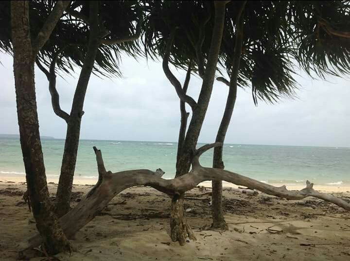 Photo of Wandoor Beach by Sohita Dikshit♥♥♥(gYpsy sOul)