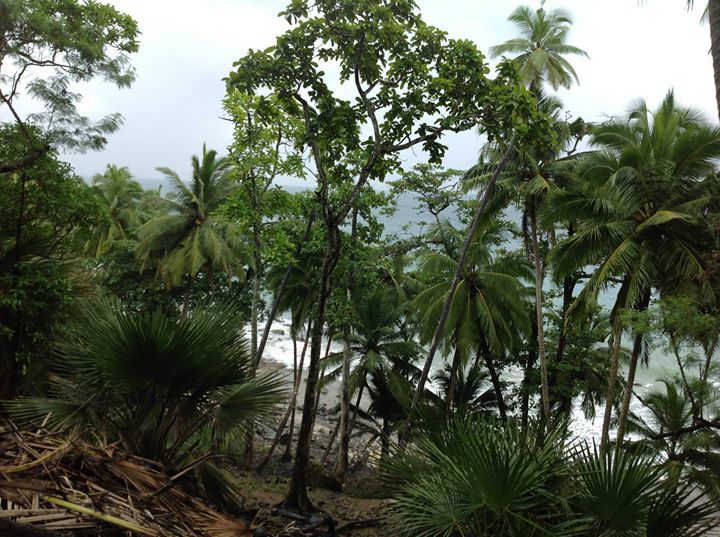 Photo of Lost in the blue water of Andaman and Nicobar islands 9/9 by Sohita Dikshit♥♥♥(gYpsy sOul)