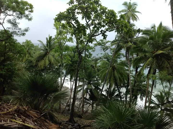 Photo of Ross Island, Andamans by Sohita Dikshit♥♥♥(gYpsy sOul)