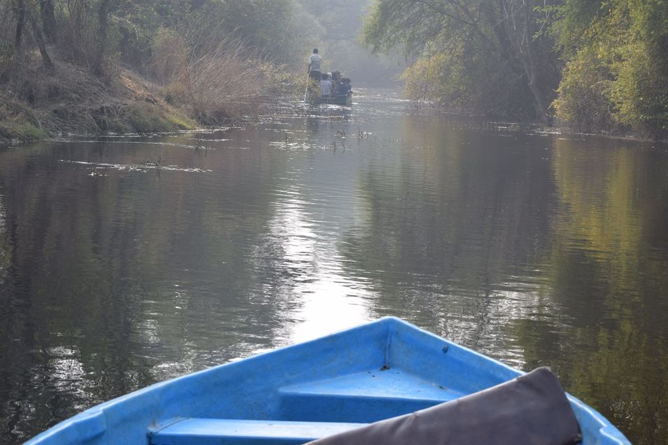Photo of A desi trail to videshi birds!!! 2/18 by Sohita Dikshit♥♥♥(gYpsy sOul)