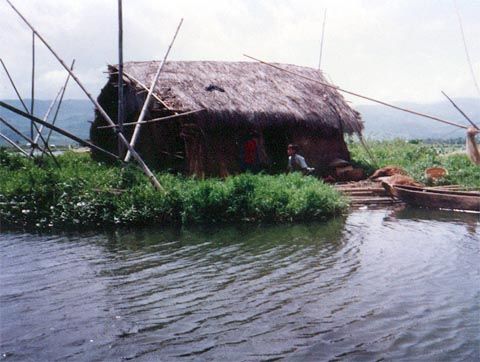 Photo of Loktak Lake in Manipur, has the world's only floating National Park! 4/8 by Preeya Darshini