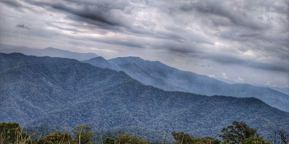 Photo of Trekking To The Majestic Shirui Lily In Ukhrul | Her Little Space by Preeya Darshini