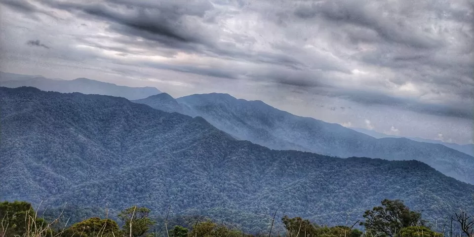 Photo of Trekking To The Majestic Shirui Lily In Ukhrul | Her Little Space by Preeya Darshini
