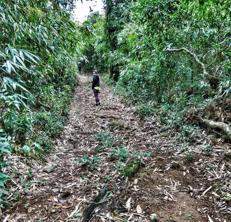 Photo of Trekking To The Majestic Shirui Lily In Ukhrul | Her Little Space by Preeya Darshini