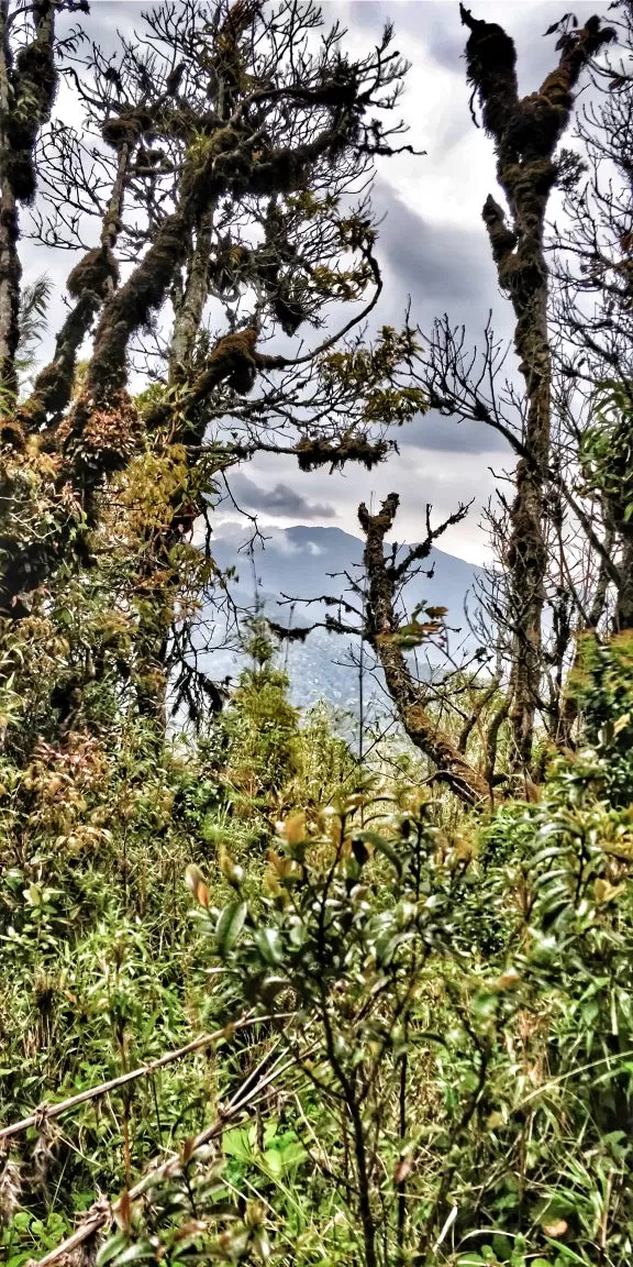 Photo of Trekking To The Majestic Shirui Lily In Ukhrul | Her Little Space by Preeya Darshini