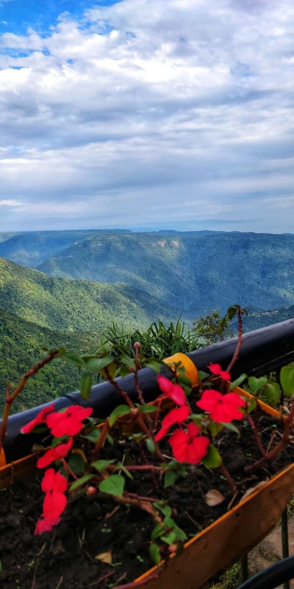 Photo of 4 Days In Meghalaya (Scotland of the East) - II | Her Little Space by Preeya Darshini