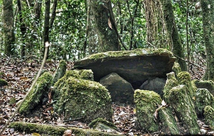 Photo of 4 Days In Meghalaya (Scotland of the East) - II | Her Little Space by Preeya Darshini