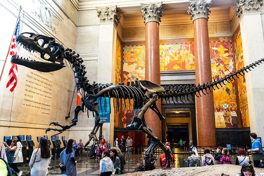 Photo of American Museum of Natural History, Central Park West, New York, NY, United States by Dev Iyer