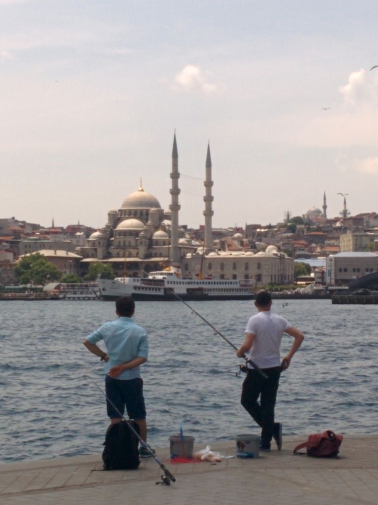 Photo of Little slices of Turkey 2/30 by Akshat Harbola