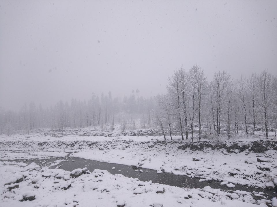 Photo of Untrekking the beas kund (Manali trip) 1/9 by Akshat Harbola