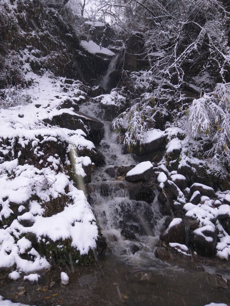 Photo of Untrekking the beas kund (Manali trip) 2/9 by Akshat Harbola