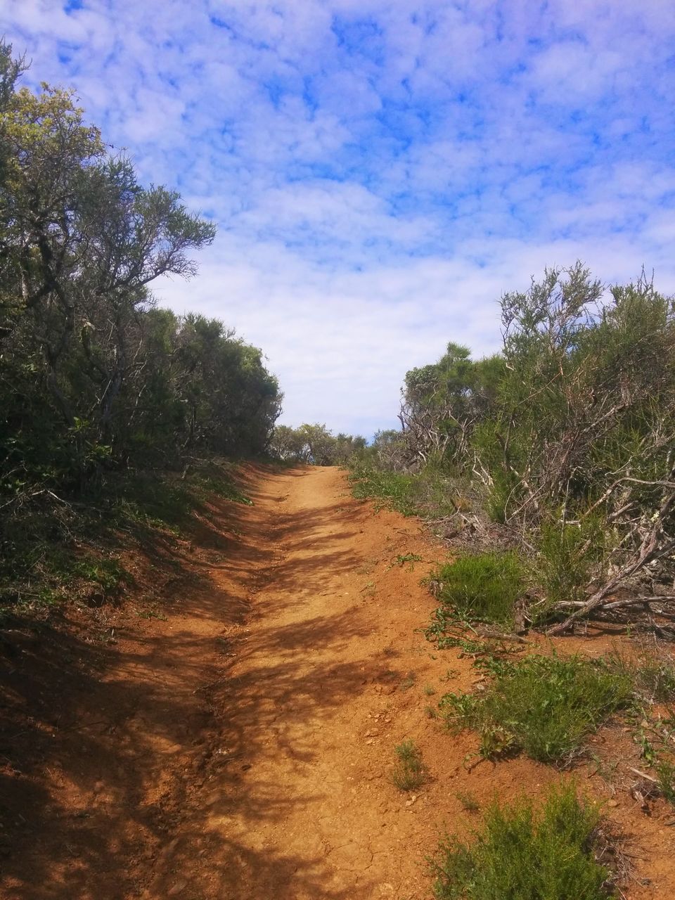 Photo of Hiking up black mountain (Bay Area) 3/7 by Akshat Harbola
